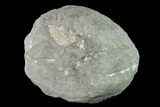 Keokuk Geode with Calcite & Pyrite (Both Halves) - Missouri #144766-4